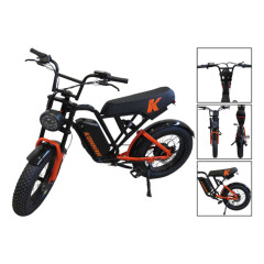 Bicicleta eletrica 750w winner pt/vm